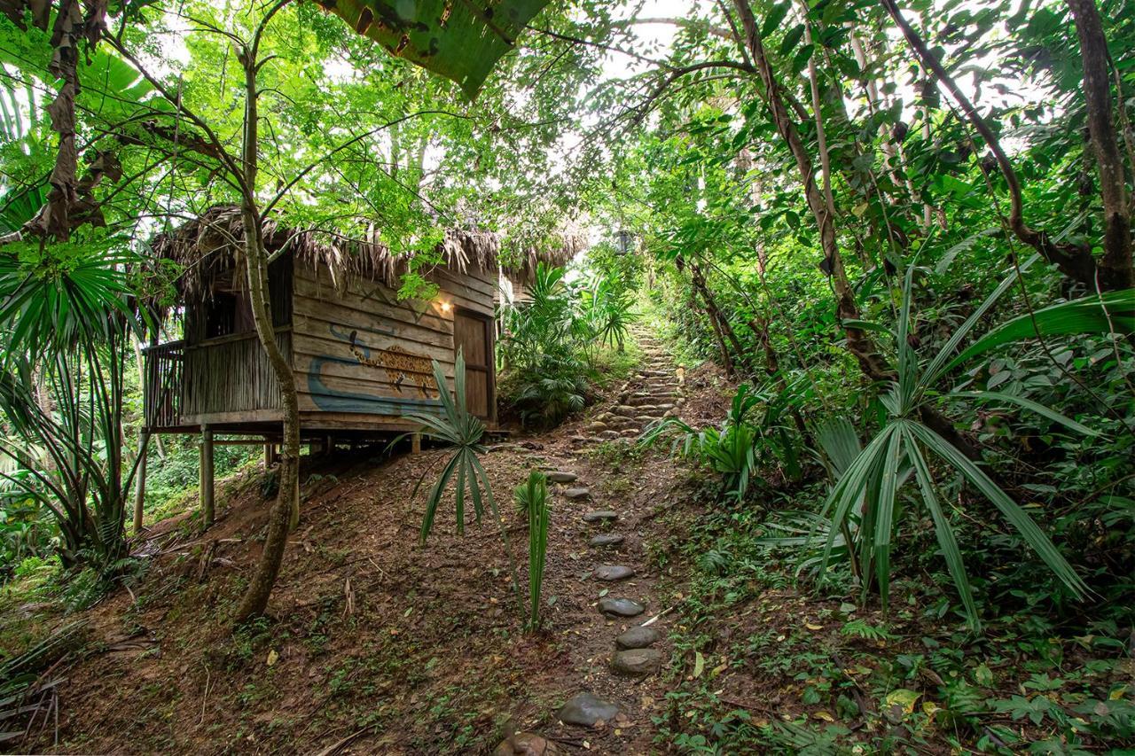 Villa Yira Eco-Hotel El Zaino Exterior photo