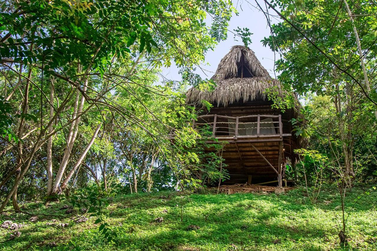 Villa Yira Eco-Hotel El Zaino Exterior photo